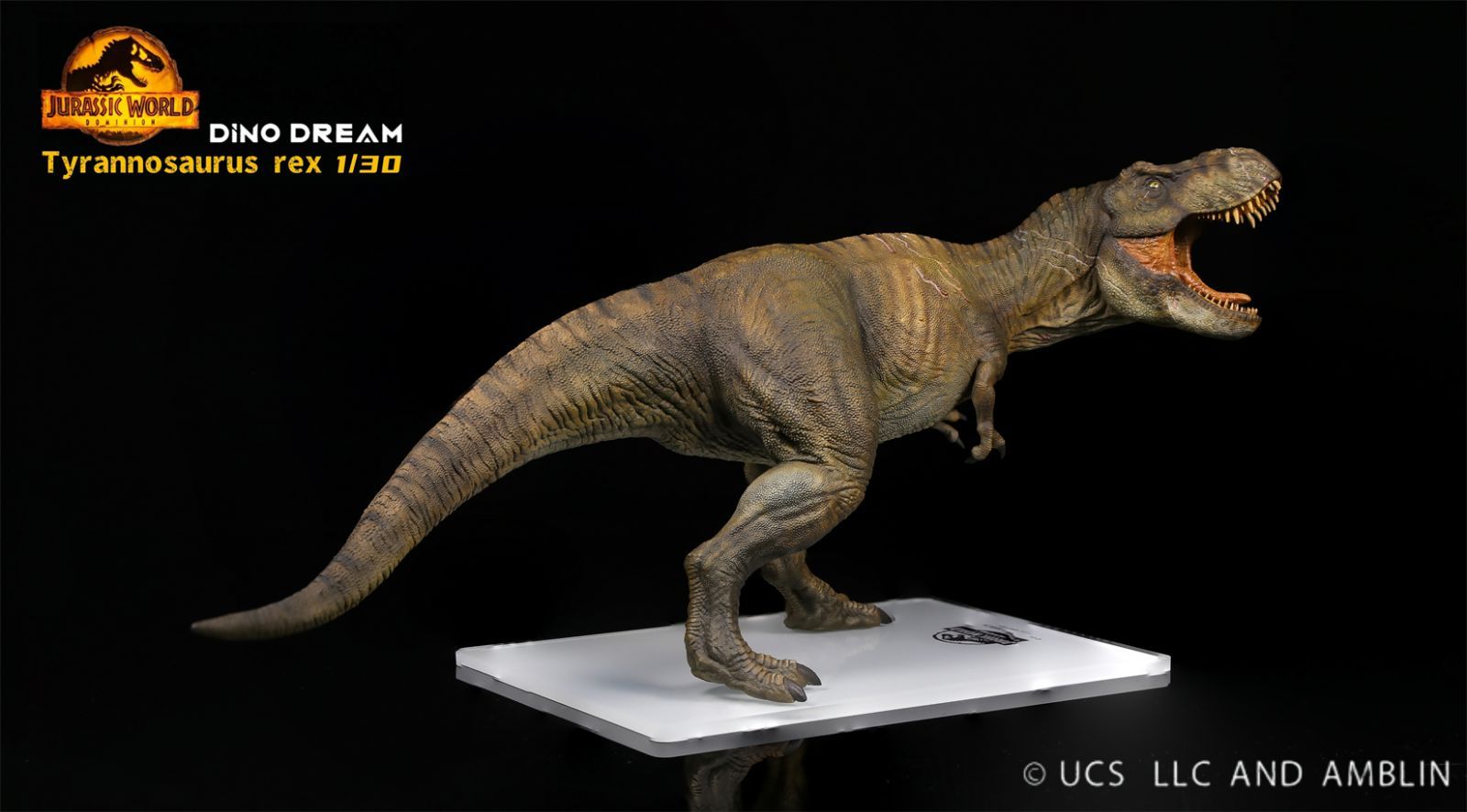 DINO DREAM 版 1|30 サイズ ティラノサウルス 肉食 Tレックス 恐竜 フィギュア 模型