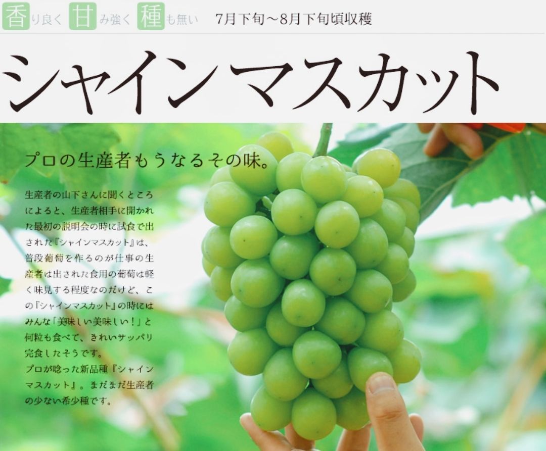 ２品種詰め合せ 御中元