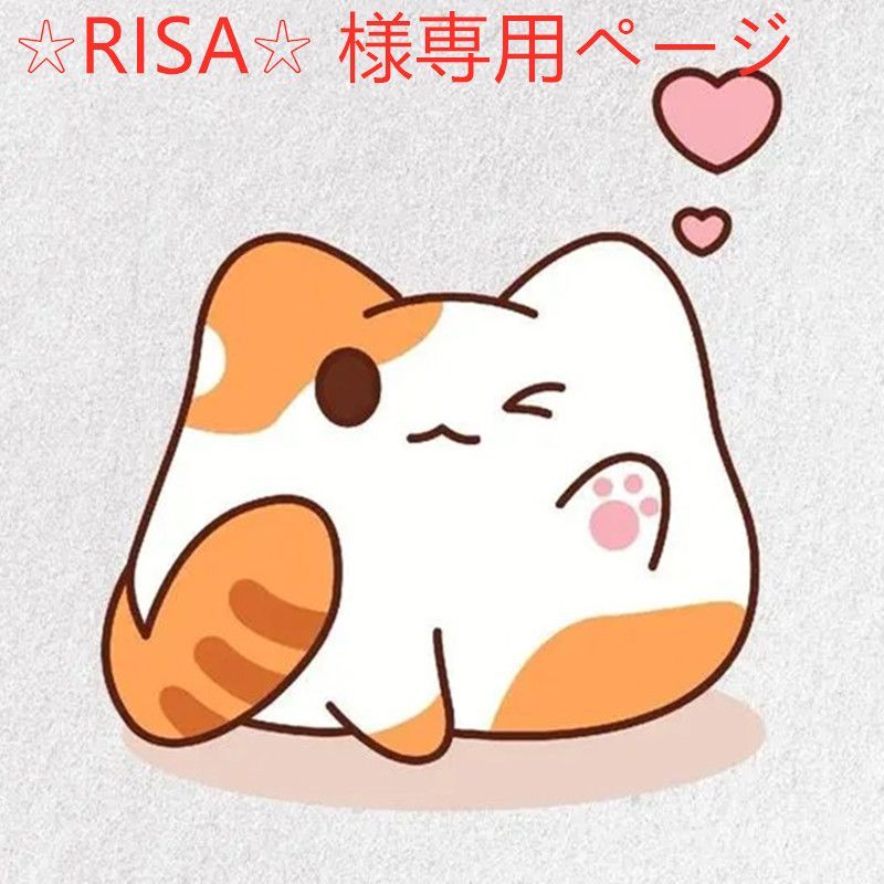 ☆RISA☆ 様専用ページ - メルカリ