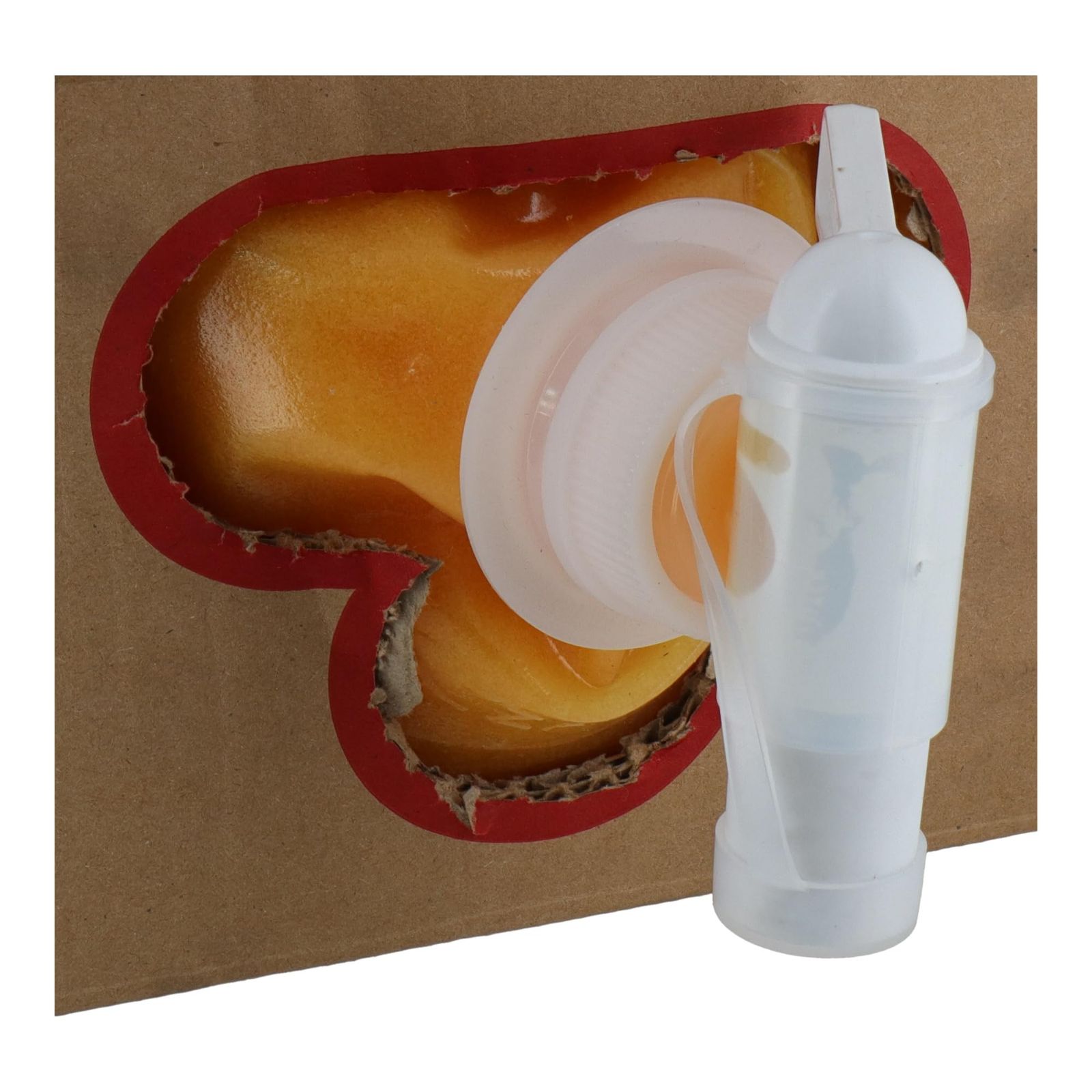 GA 天然スクラブハンドクリーナーECO