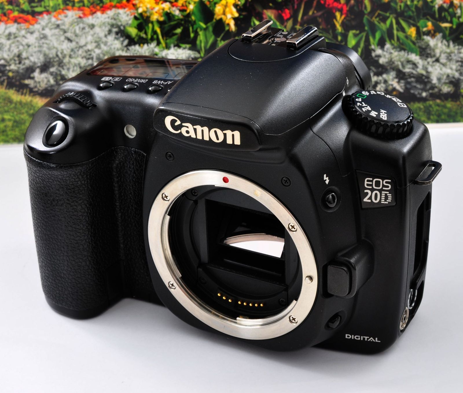 一眼を始めませんか！Canon キヤノン 一眼カメラ ２０D オマケレンズ