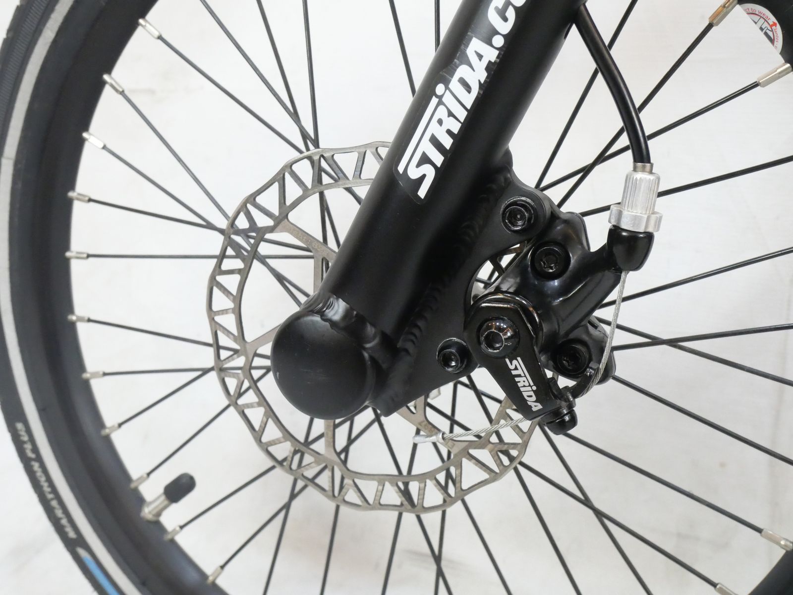 STRIDA ストライダ