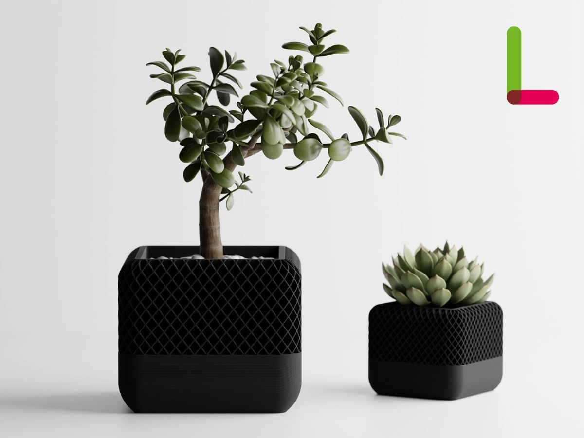 ビカクシダ ジェイドガール スポア 益子焼 鉢付き 4号 ビカクシダ