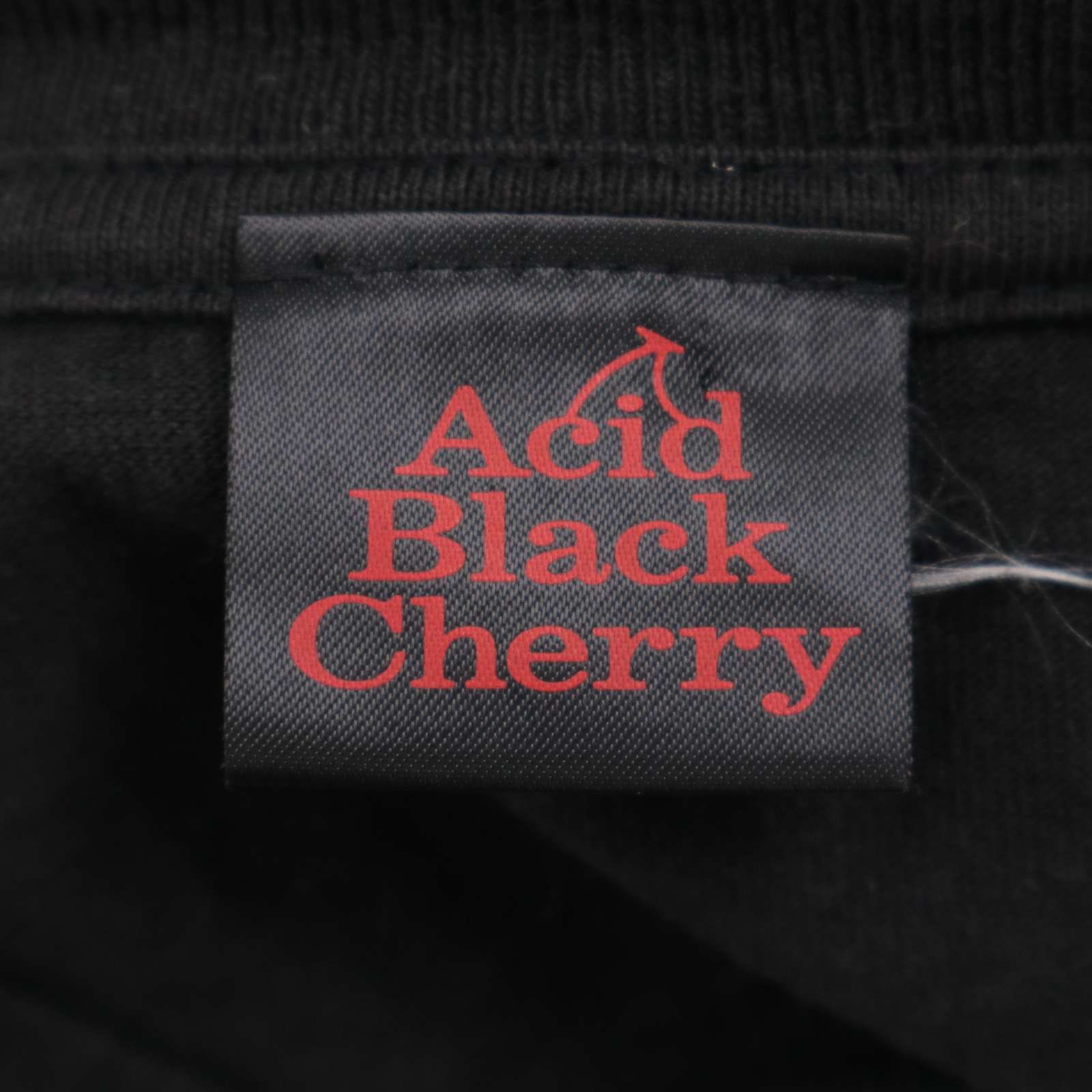 Acid Black Cherry アシッドブラックチェリー Re:birth☆ バンド