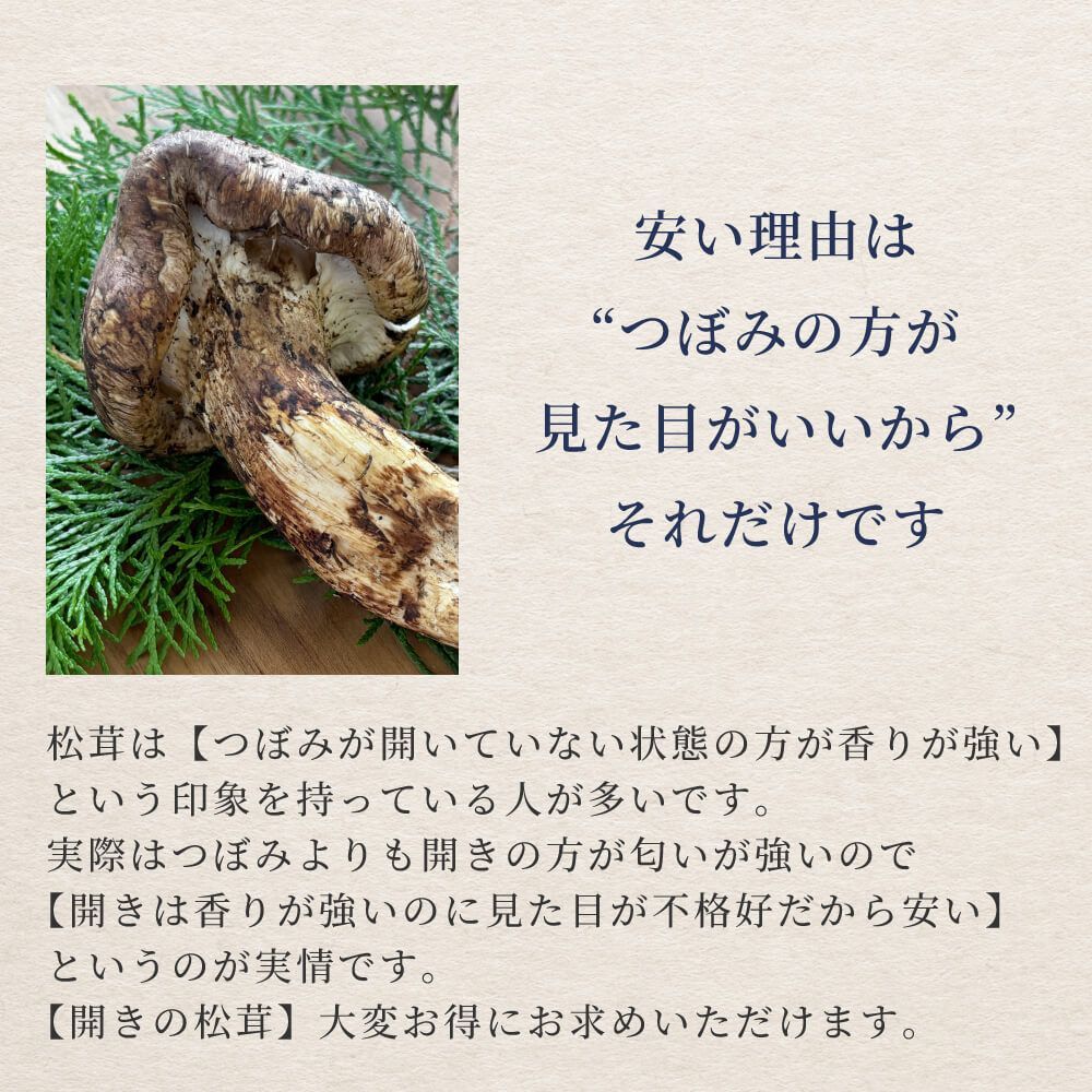 フレッシュ松茸・ウッキー imgrc0088367897.jpg
