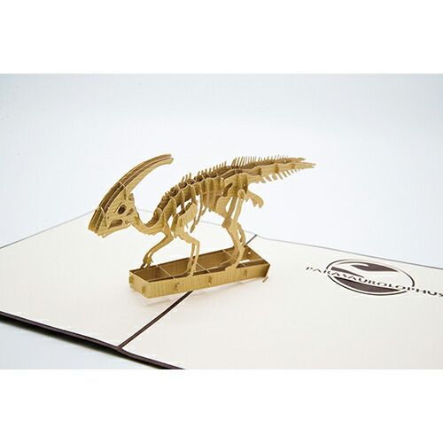 まとめ 小西印刷所 ポップアップカード ワオポップ パラサウロロフ PAV912 ×5セット