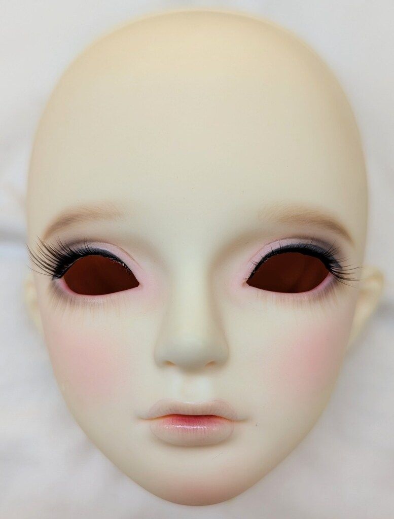 LUTS Senior Delf 2008 SUMMER EVENT Head