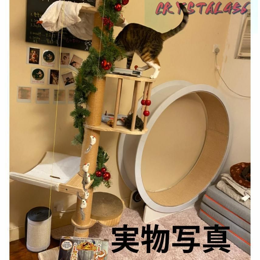 では、お注文を楽しみね！ キャットホイール 猫の車輪 猫の回し車 猫のトレッドミルの車輪 猫のエクササイズホイール 猫ローラー ペット用トレッドミル 歩く猫フィッ 絶対にあなたの一番選択！