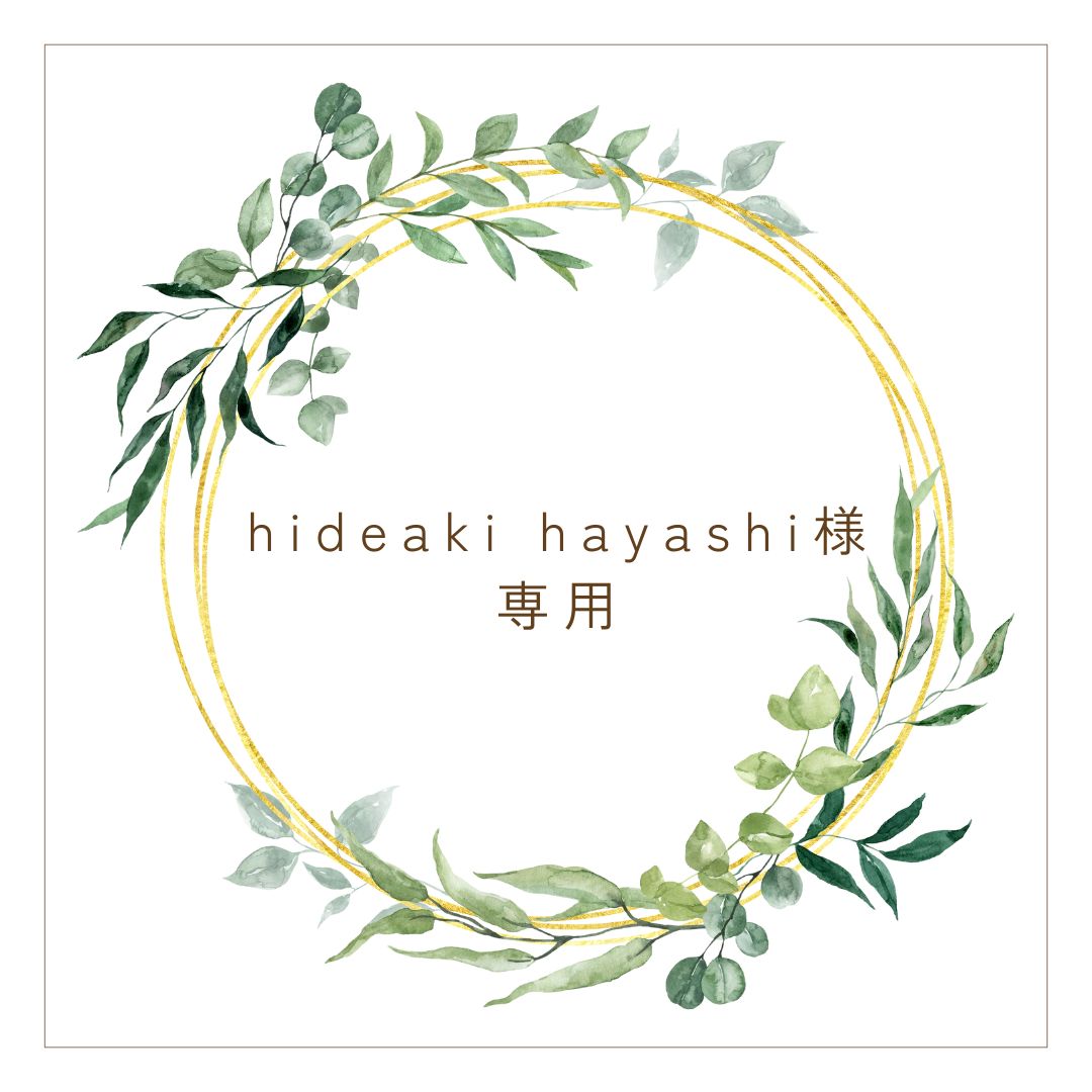 ※hideaki hayashi 様専用