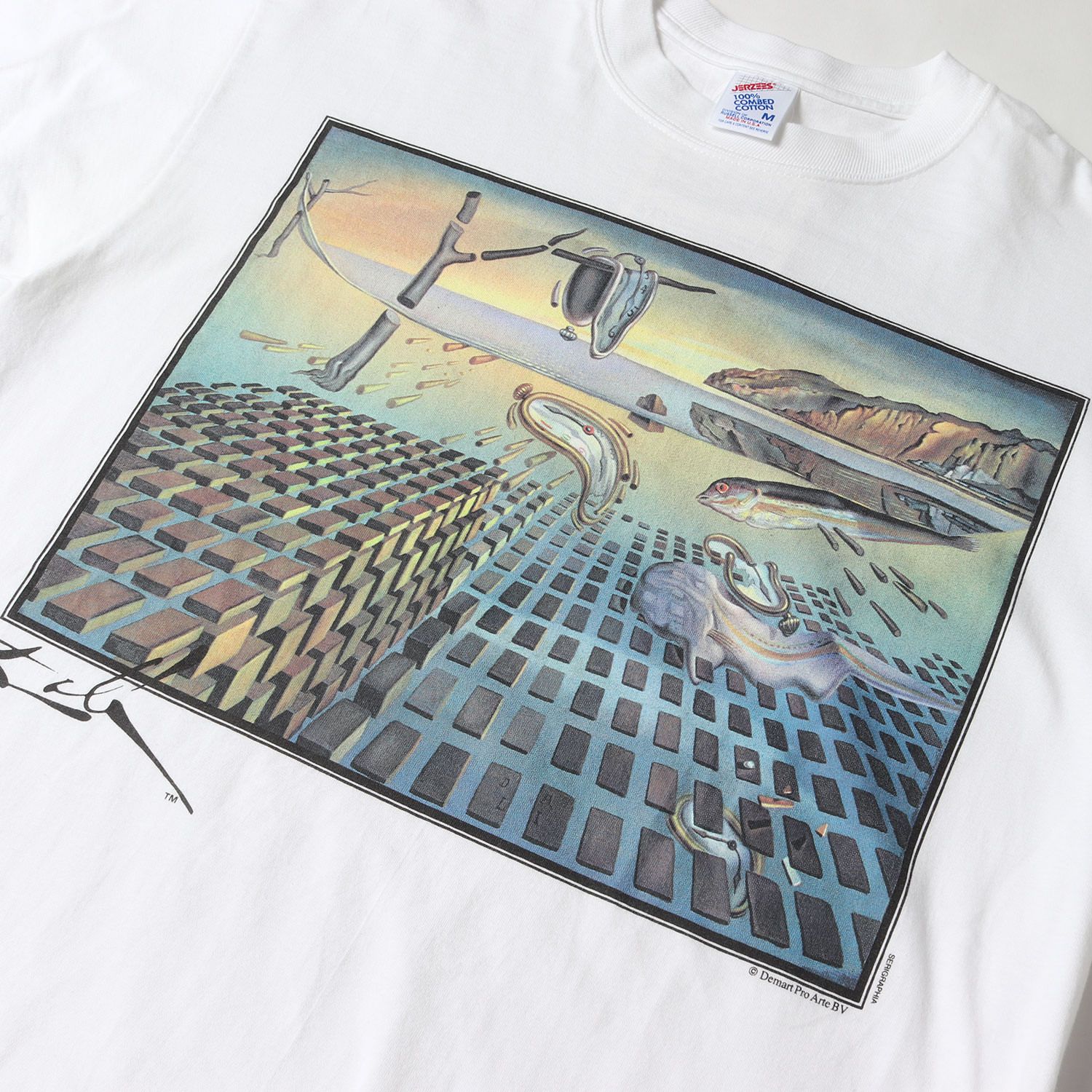 90s Salvador Dali サルバドール　ダリ　記憶の固執の崩壊 サルバドール・ダリ「記憶の固執の崩壊」 [4975805]のアート作品