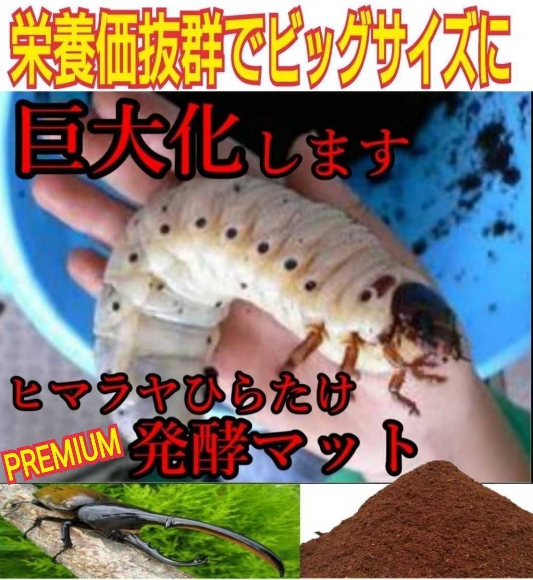 カブトムシ幼虫の餌、産卵に！プレミアム発酵マット☆コバエ、雑虫が