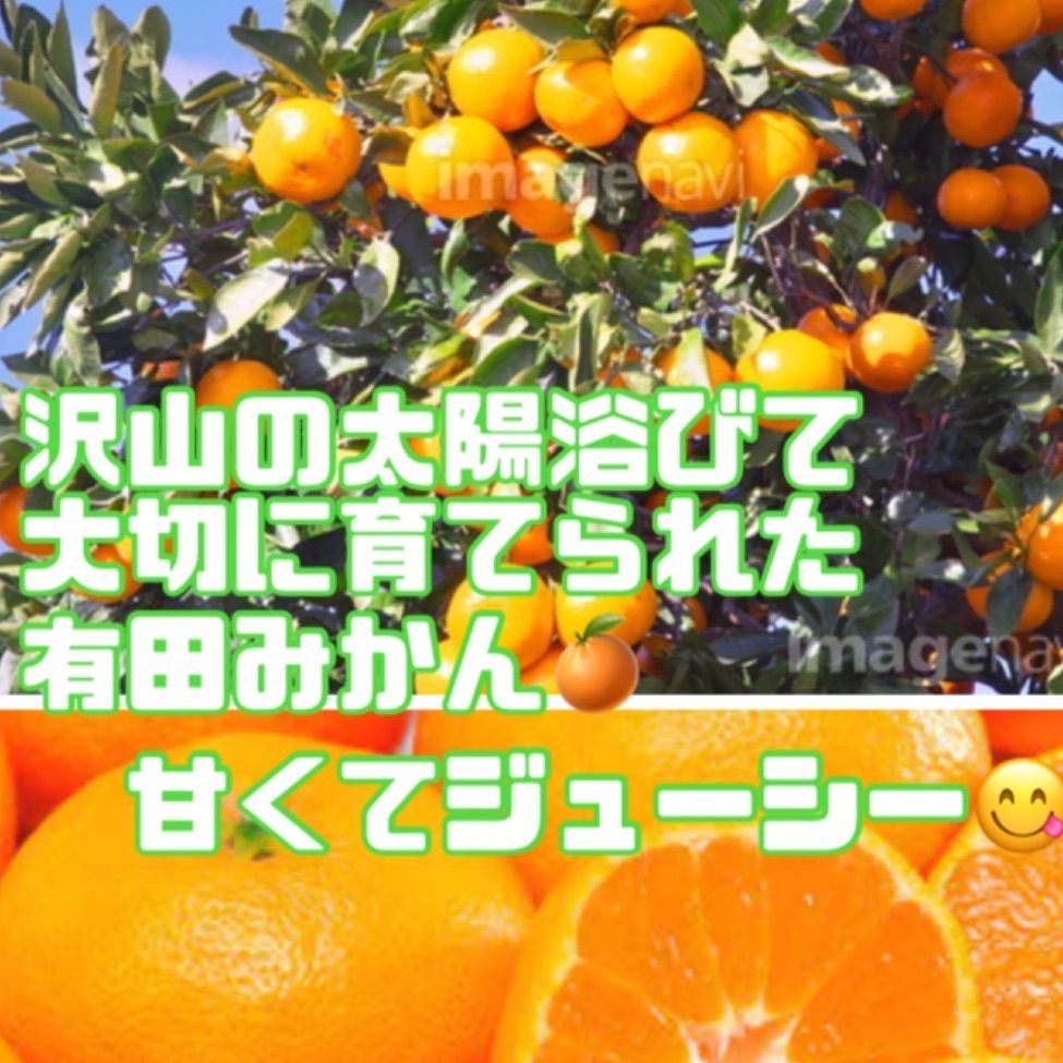 限定20箱　小つぶちゃん　有田みかん🍊2kgＢ級品　3S～2S　 味はA級品！！