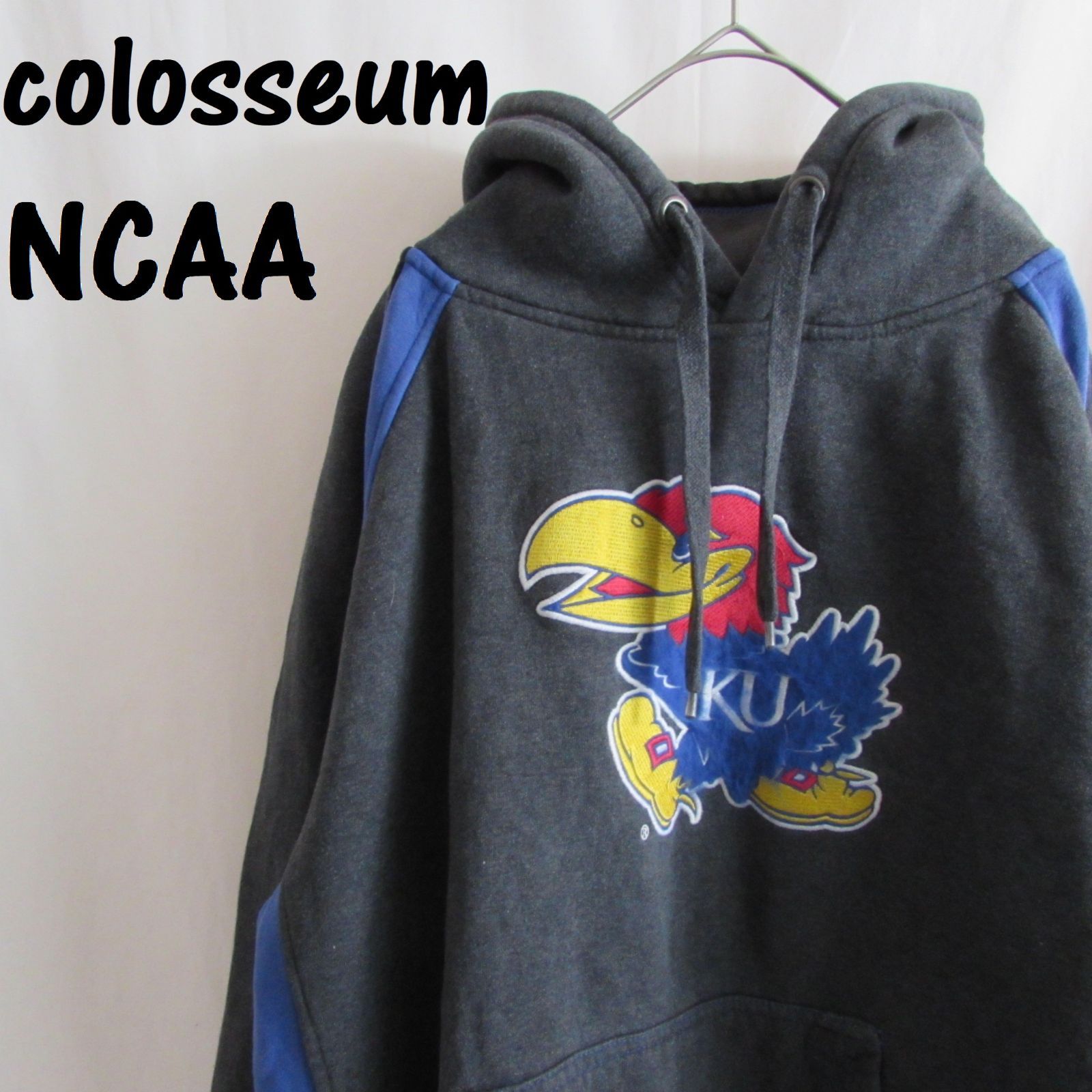 海外規格L】古着 スウェットパーカー colosseum The University