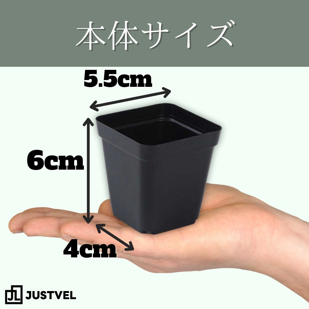 ②オーズプランツさん苗4点セット札付きポットごとメルカリ便バラ売り不可 2025年最新】第4種郵便の人気アイテム - メルカリ