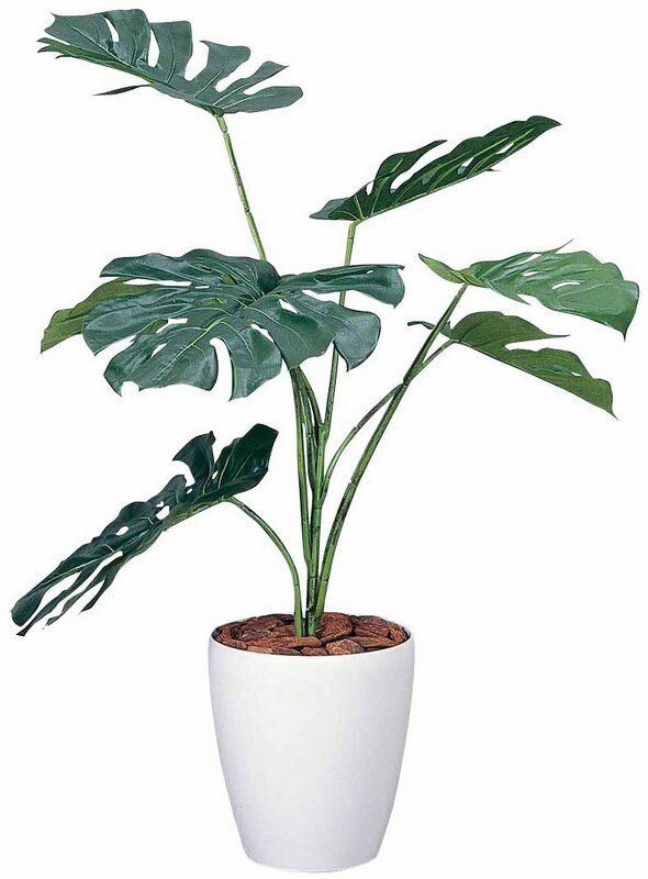 豊富な，新作 光触媒観葉植物 モンステラ90〔フロアタイプ(ミドル