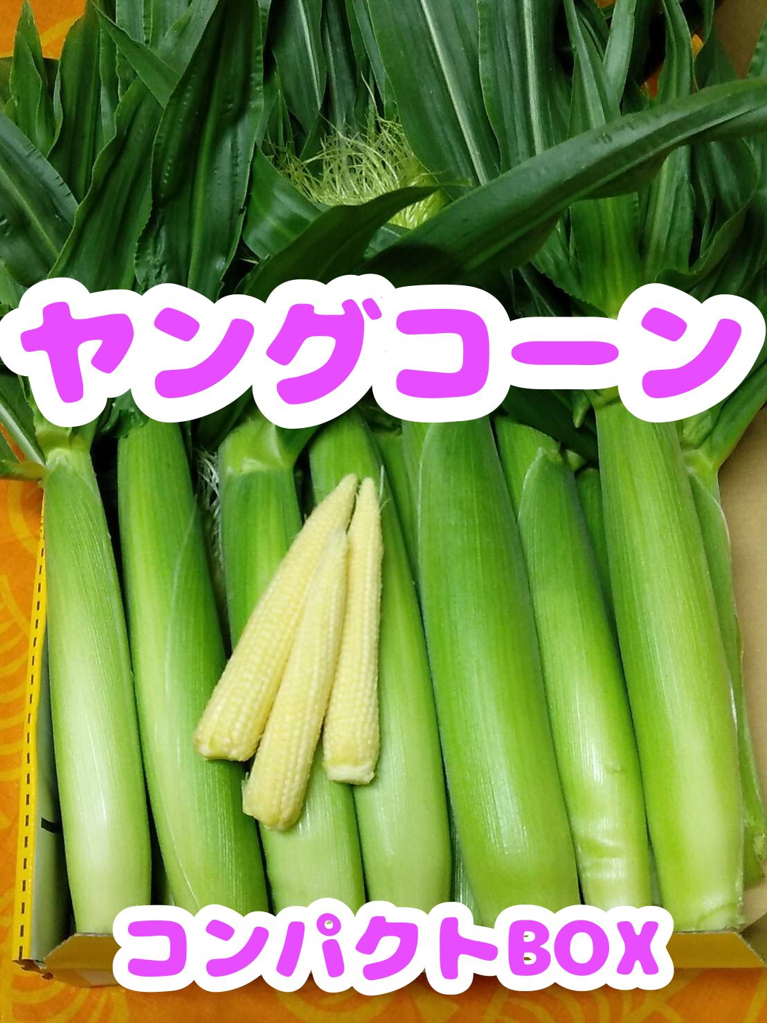 ネコポス✨新鮮ヤングコーン（ベビーコーン） - 野菜