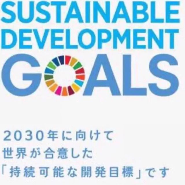 国連本部純正品】SDGs ピンバッジ 2点セット【特別提供品