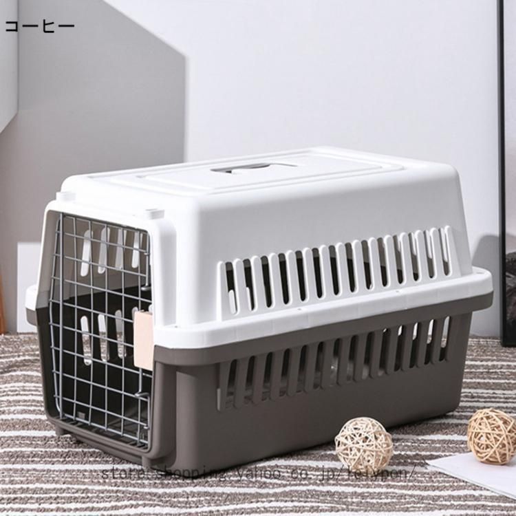 小型犬 猫