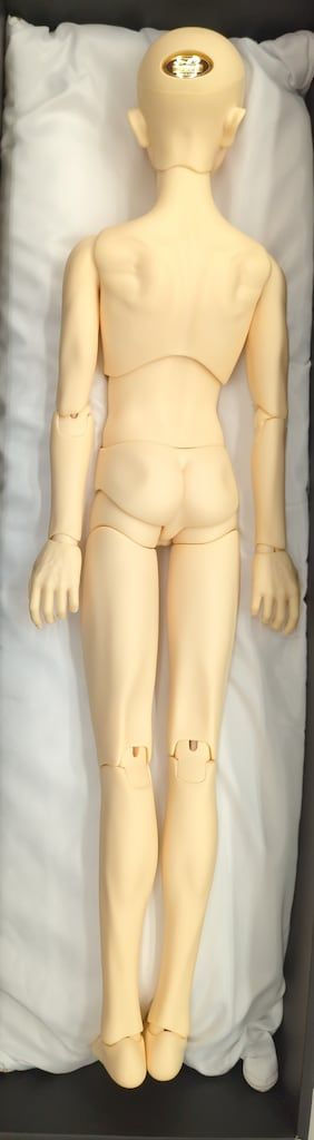 銀貨の誓い SD17 ウィリアムズ The young Ensign ボディのみ ボークス SD17男の子 銀貨の誓い ウィリアムズ The young Ensign SD