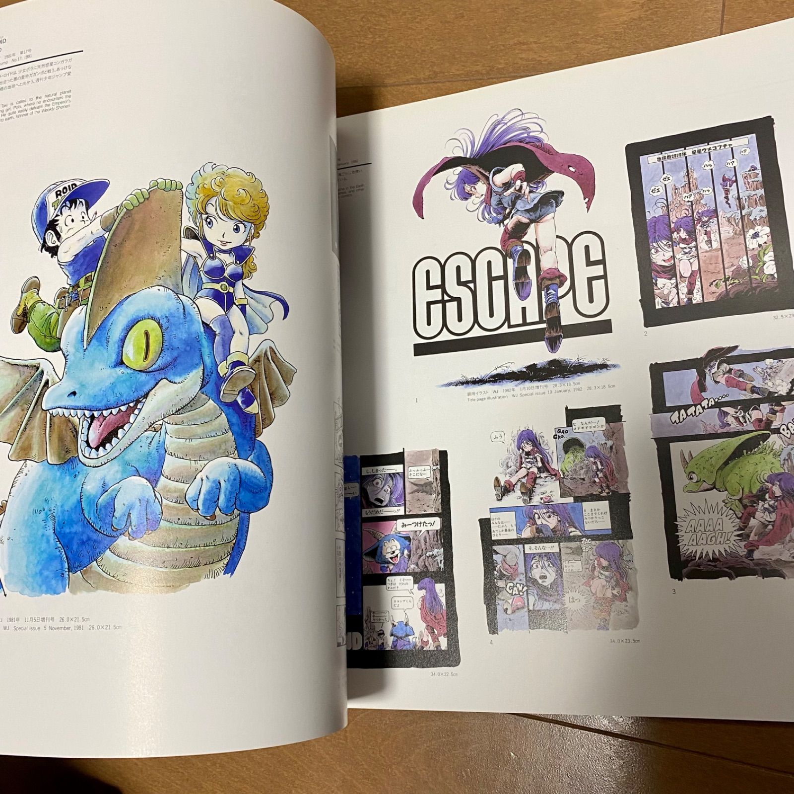 限定‼️ 鳥山明の世界 鳥山明 画集 イラスト ドラゴンボール 限定‼️ 鳥山明の世界 鳥山明 画集 イラスト ドラゴンボール