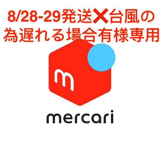 8/28-29発送❌台風の為遅れる場合有様専用 - メルカリ