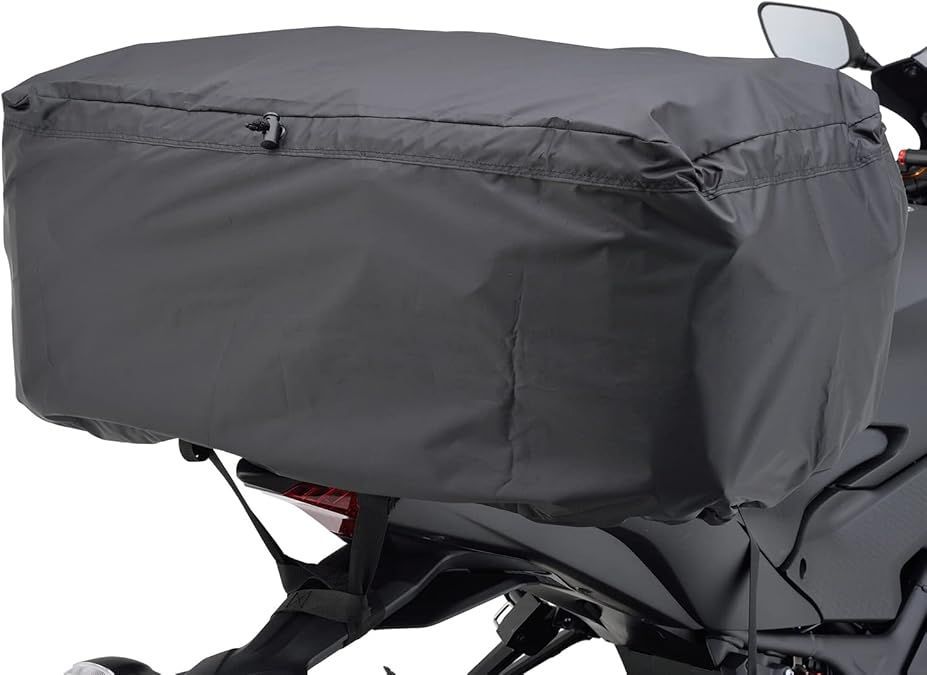 貴重」真筆 森田光達「鯉の光達」掛け軸(跳鯉)