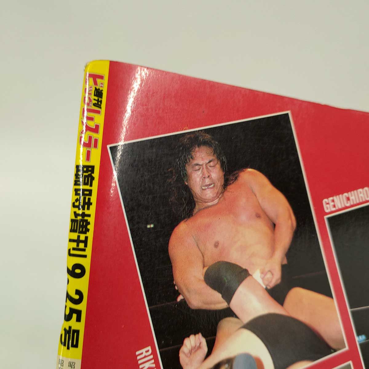 プロレス本 炎の戦士 週刊ビッグレスラー臨時増刊 - メルカリ