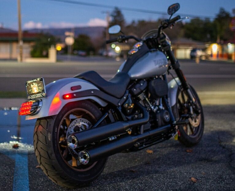 NEOWISE 3-1 MINI FENDER STRUT リアウィンカー＆テール 2018年以降ソフテイル クローム WWW_SUPERTOOLSSHOP_NL