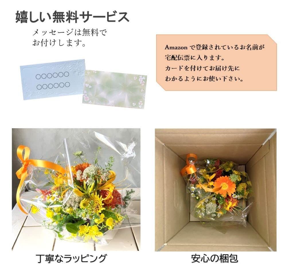風呂敷シリーズ