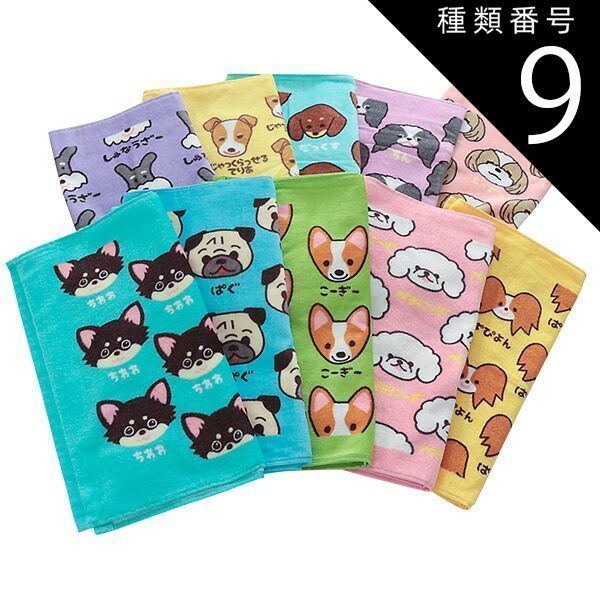 種類9:カラー/ちん 10枚セット フェイスタオル ワンワンワールド かわいい タオル 綿100% 犬 イラスト 保育園 幼稚園 入園 祝い 新学期 入園準備