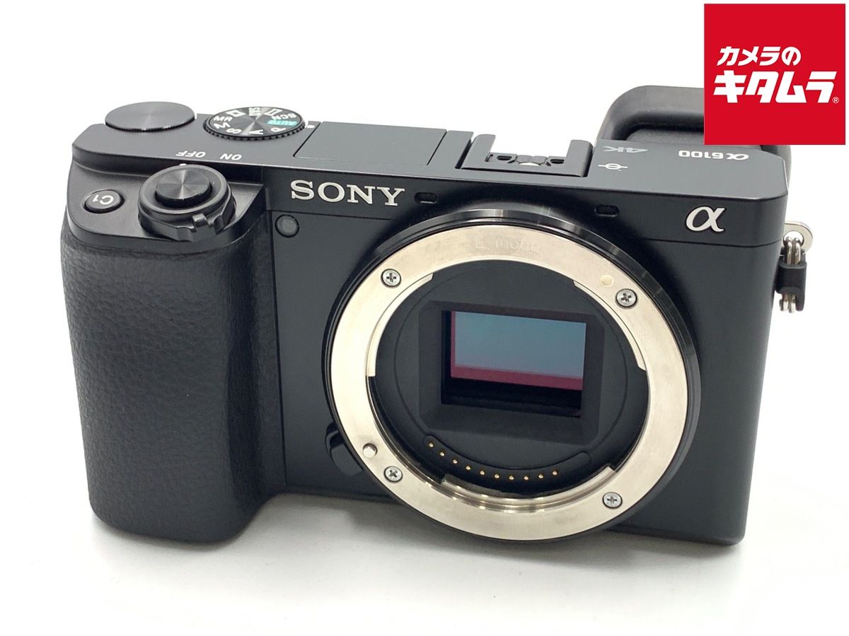 SONY α6100 ボディ 【公式通販】