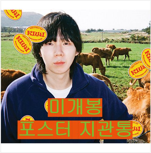 島 ー Kiwi Mixtape 未開封 ポスター 含め CD