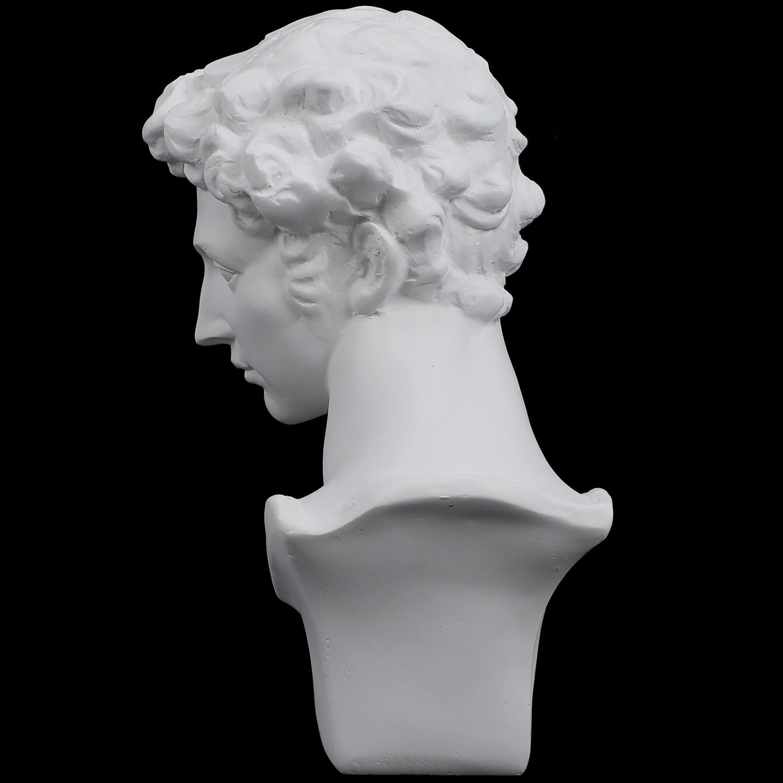 メディチ 石膏像