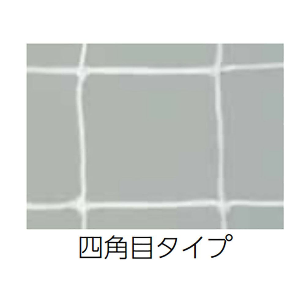 トーエイライト