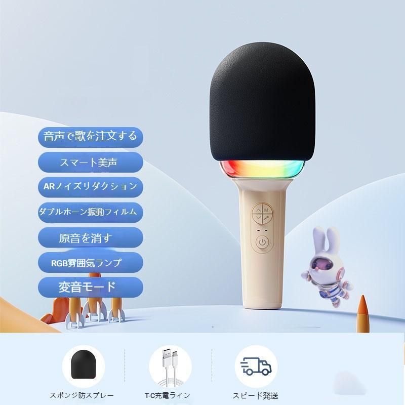 スピーカー カラオケマイク