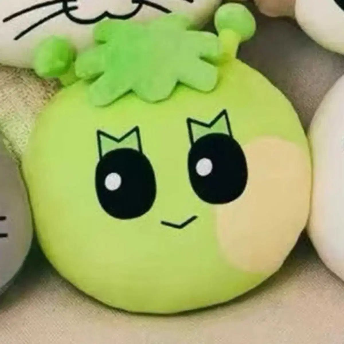 BOYNEXTDOOR(ボイネク) プネクド サムハン クシャン