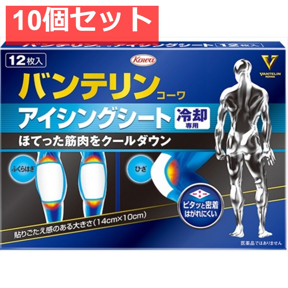バンテリンコーワアイシングシート12枚 10個セット