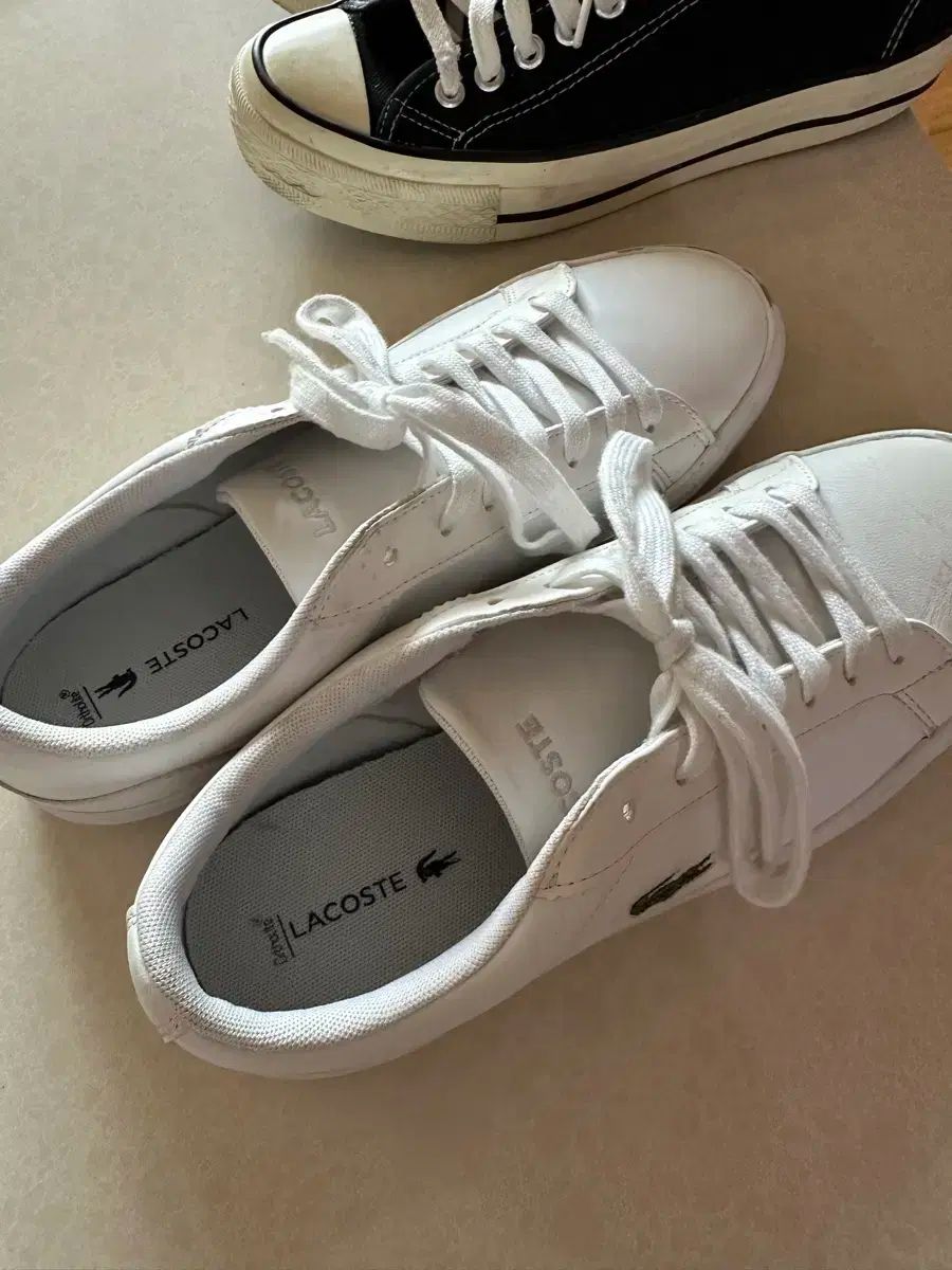 LACOSTE(ラコステ) 255 靴
