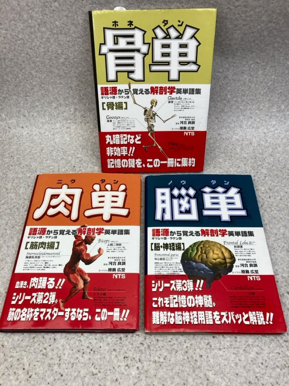 解剖学 骨単・肉単・脳単　×3セット 骨単: 語源から覚える解剖学英単語集 | 広至, 原島, 良訓, 河合