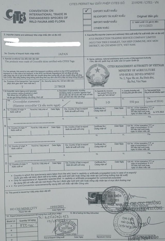 本物証明証付き】 本革 クロコダイル 二つ折り財布 マネークリップ 腹