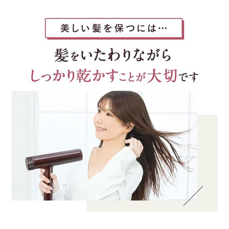 【ポイント還元率３％】 Le ment ルメント イオンケアドライヤー マイナスイオン 大風量 速乾 ヒートコントロール 風量調節 温度調節 1 【送料無料】