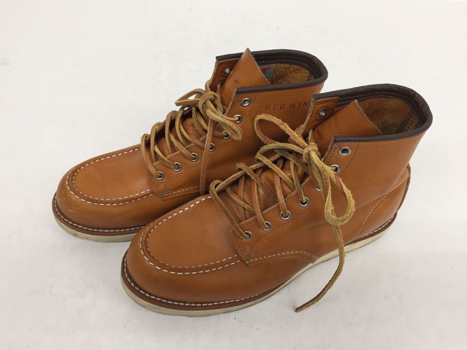 RED WING アイリッシュセッター 9875 犬タグ 復刻 M140-20250614-01KS