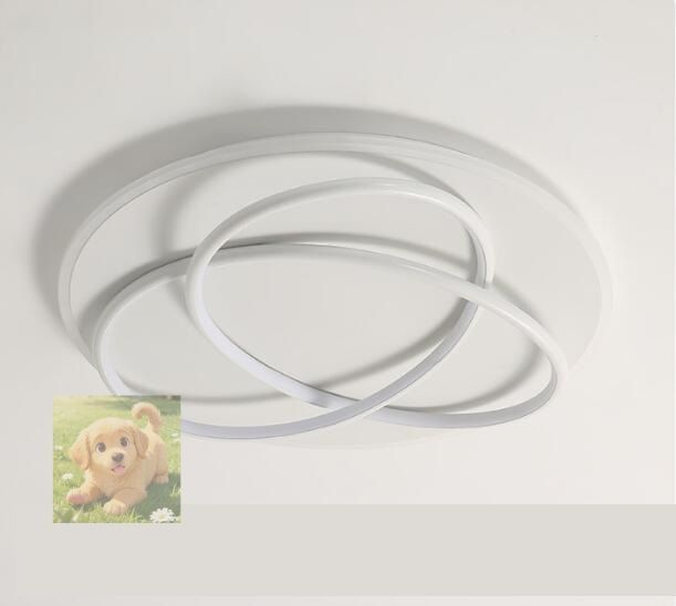 人気品シーリングライト