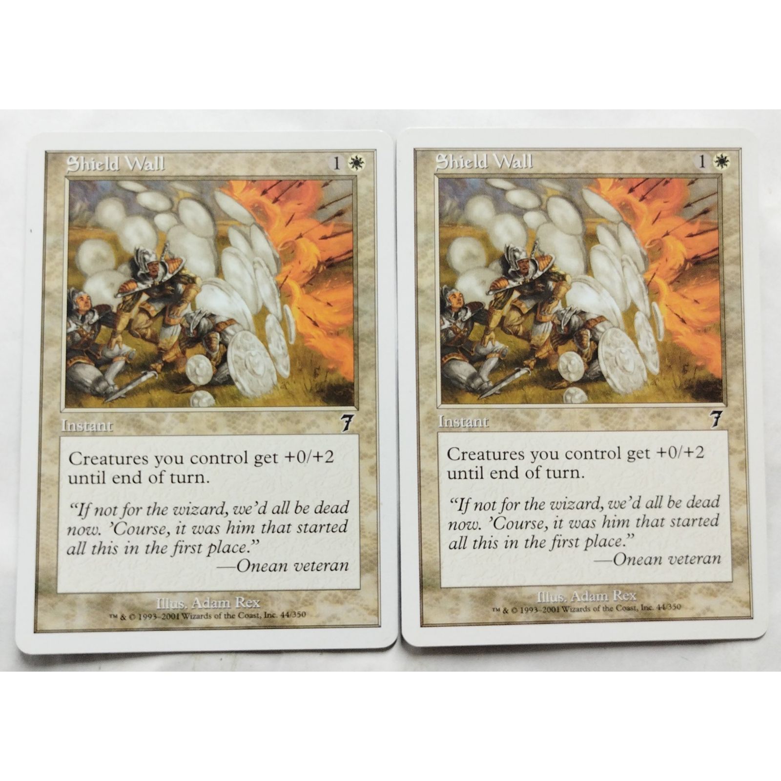 Shield Wall 44/350 マジック ザ ギャザリング 英語版 2枚