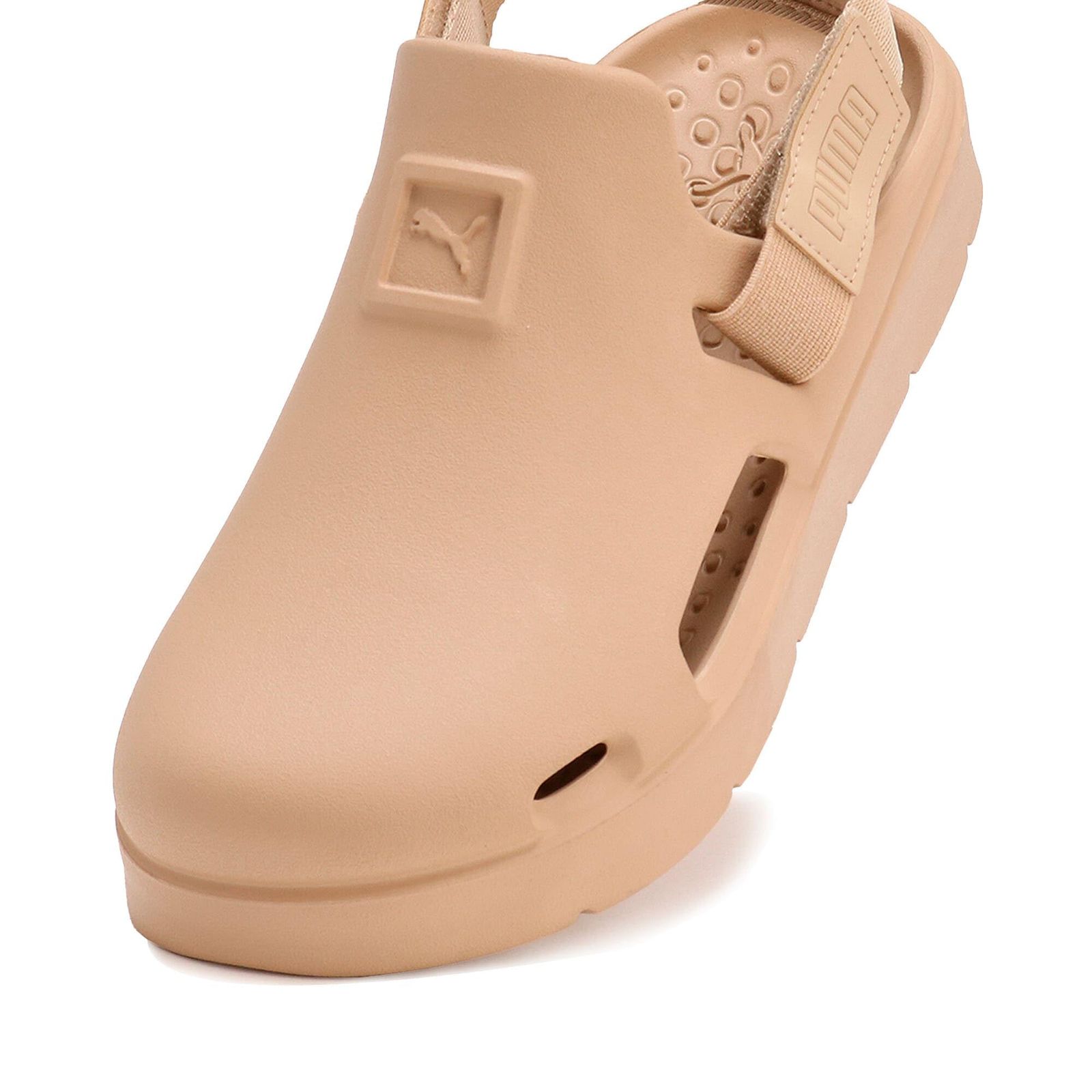 Free Size