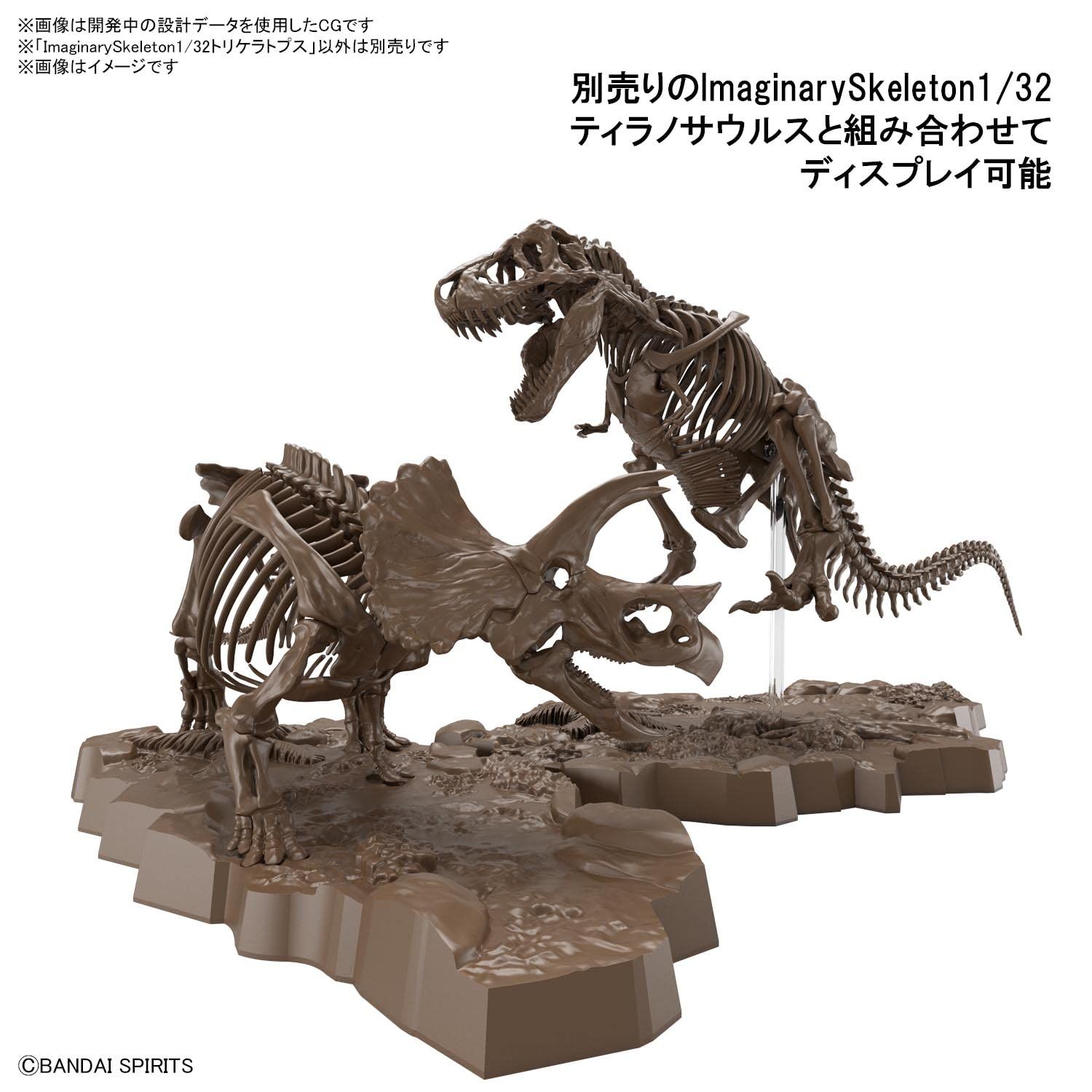 BANDAI SPIRITS(バンダイ スピリッツ) イマジナリースケルトン (Imaginary Skeleton) トリケラトプス 1/32スケール プラモデル 