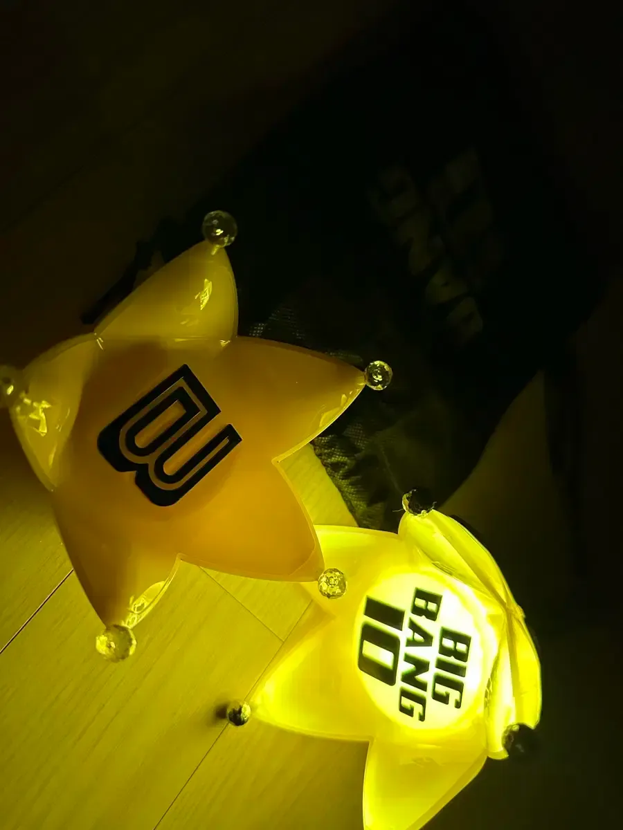 BIGBANG ペンライト ヘッドのみ(黒) BIGBANG ペンライト ヘッドのみ(黒)