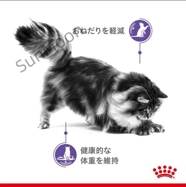 セット販売 ロイヤルカナン