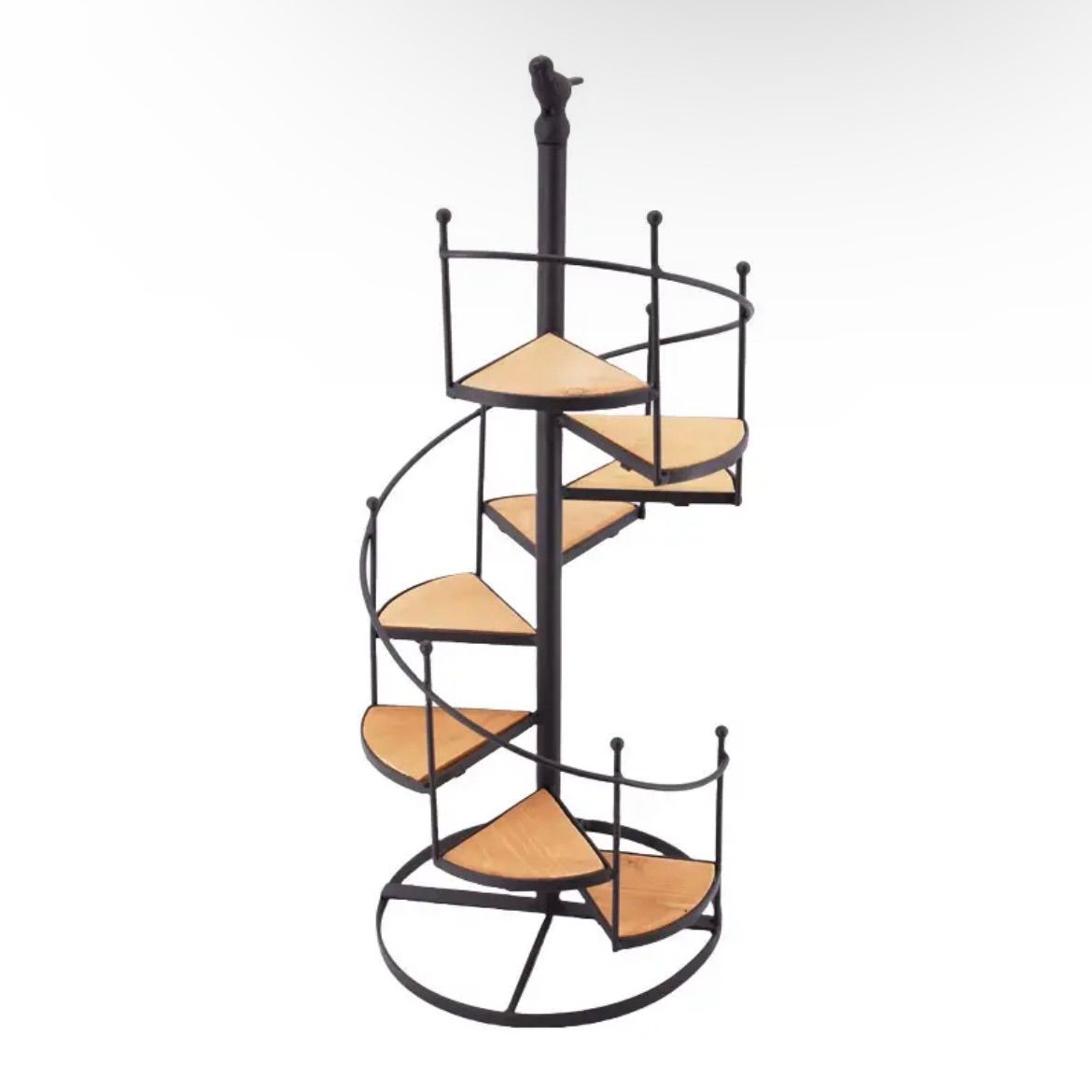 アガベ チタノタ 南アフリカダイヤモンド ミニ SAD 発根済み鉢ごと発送