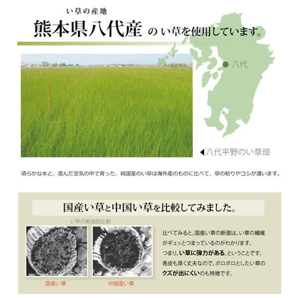 い草 上敷き/ラグマット 日本製 抗菌防臭 耐久性抜群 熊本県八代産イ草使用 〔リビング〕 い草 上敷き&frasl;ラグマット 双目織 約176×176cm 〔江戸 アジアン